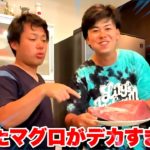 自分達で釣ったキハダマグロをを捌いて食べたら大優勝しました！！！