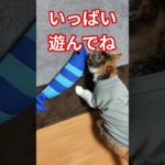 プレゼントをもらった反応は！？