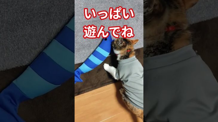 プレゼントをもらった反応は！？