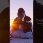 ビューティウホー！！！