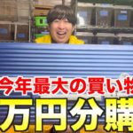 今年最後に最高のペットをお迎えしました！！！