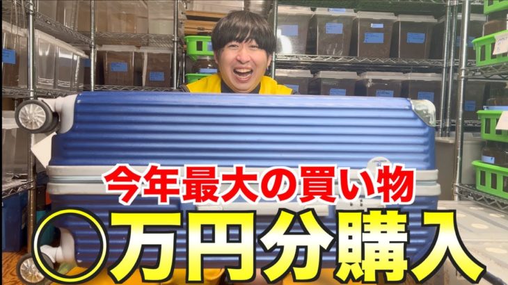 今年最後に最高のペットをお迎えしました！！！