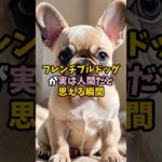 フレンチブルドッグが実は人間だと思える瞬間 #ペット #犬 #雑学