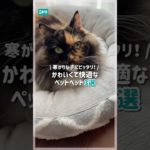 寒がりな子にピッタリ！かわいくて快適なペットベッド３選 #ニトリ #ニトリ商品 #ペットベッド #洗えるペットベッド #ペット用品