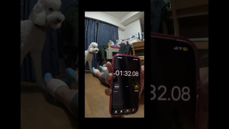 #有酸素運動 #減量 #ダイエット #ボディメイク #よもぎ風呂 #代謝あげ #パーソナルトレーニング #映えなし #甲状腺亢進症 #甲状腺バセドウ病 #弁膜症 #ズンバ #リングフィット #ゲーム