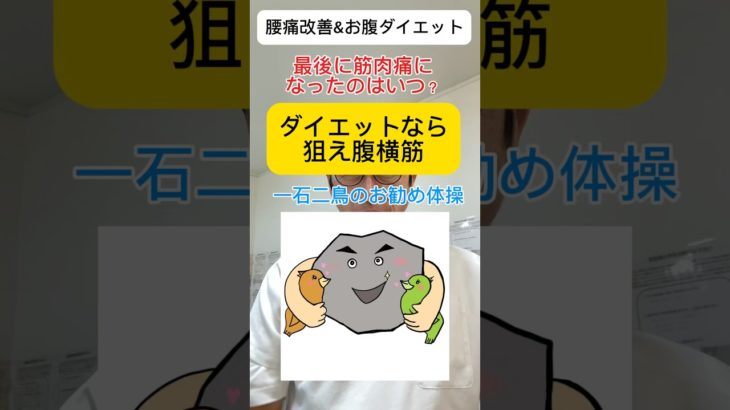 【腰痛改善&ダイエット】腹横筋ガチで鍛えてみませんか？