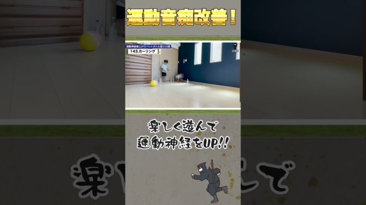 ペットボトルカーリング　的にめがけて滑らせ近いほうが勝ち。ペットボトルをいくつか用意してやるとより楽しめる #運動神経up #カーリング #ボッチャ #識別能力 #空間認知能力 #調整力