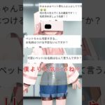 吾輩はペットである、名前を募集する。#vtuber  #新人vtuber  #個人vtuber #vtuber準備中  #shorts