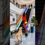 yah ladki Apne pet Mein #ai #viral #shortsfeed