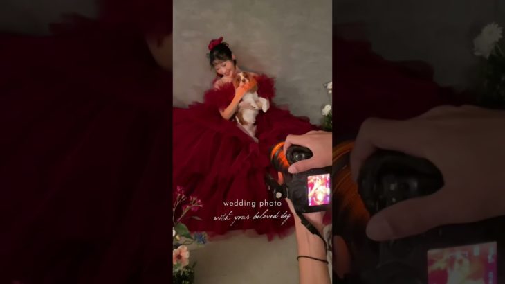 .#お客様フォト 大切なペットとの撮影が大人気🐾お二人の特別な1日を愛犬と一緒に記念に残しませんか？🐕#ペットフォト #愛犬フォト