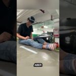 1 Million Dollar Pet City