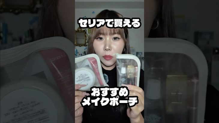 #おすすめ #美容 #購入品紹介 #メイクポーチ #100均