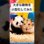 【動物】夢のミニペット2
