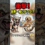 世界一怖いチワワ2