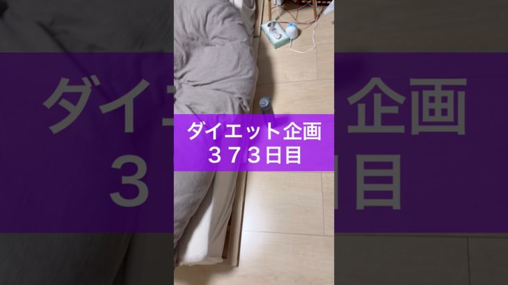 【ダイエット企画】３７３日目（毎日22時投稿）#ダイエット