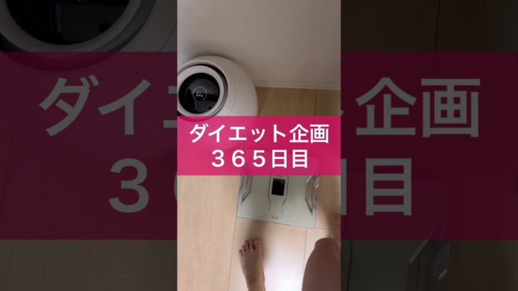 【ダイエット企画】３６５日目（毎日22時投稿）#1周年