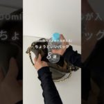 500mlペットボトルが入る♡ちょうど良いバッグ8選👜 #shorts #バッグ #バッグの中身