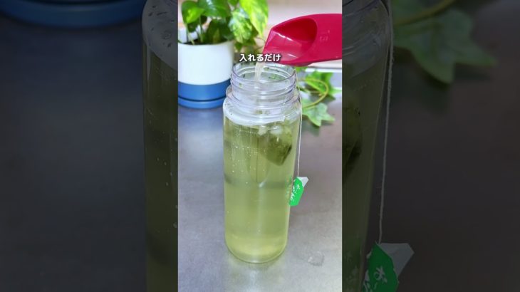 74日目　アイドル水で痩せる？　#ダイエット #アイドル水