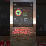 【ダイエット】こつこつダイエット再開！【初日の出】　令和8年1月1日 #diet #ダイエット #こつこつダイエット