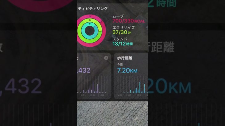 【ダイエット】こつこつダイエット経過報告　令和8年1月28日 #diet #ダイエット #こつこつダイエット