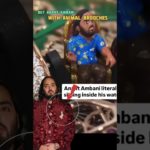 Anant Ambani’s Beloved Pet Dog…✨#shorts #trending #vantara #ambani #shortsfeed #viral #animalover