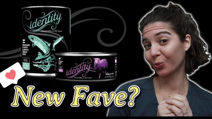 Best Fresh Food of 2025 for dogs and cats?| Identity Pet