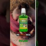 🐶🐱 Boca Pet Fresh – Enxaguante Bucal para Pets!