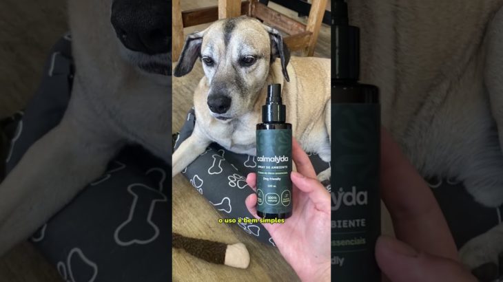 Calmalyda Pet – Aromatizante Natural para Cães | Zenpet Brasil