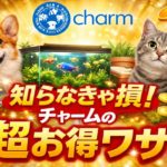 【必見】ペット用品通販サイトCharmでお得に買い物する方法!!自分に最適な買い物方法を伝授します。#771【アクアリウム】