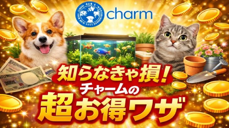 【必見】ペット用品通販サイトCharmでお得に買い物する方法!!自分に最適な買い物方法を伝授します。#771【アクアリウム】