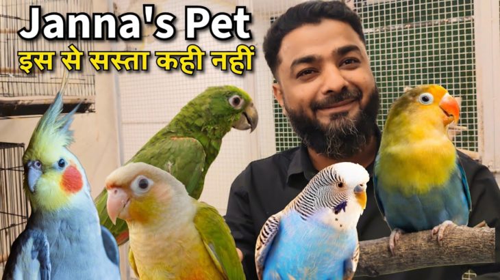 Cheapest Birds india | Pet Shop Price Video 2026 | Budgies Conure Cockatiel Lovebirds | Cat Food