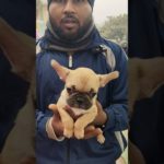 Cute puppy ❣️🔥| Serampore Pet Market | galiff street dog market kolkata #dog #shorts #pets #viral