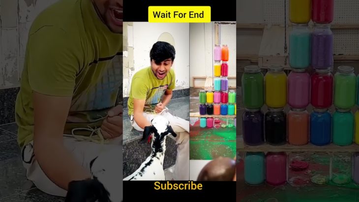 Desi families pet be like#comedy#funny #school #funnyvideo#comedyvideo