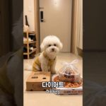 “다이어트는 체력전이다” 강아지 인터뷰 | Dieting is a stamina battle | ダイエットは体力戦だ