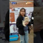 Exploring Lahore Pet Fair with Pawfect Cat Food & Big Paw Dog Food! #pawfect