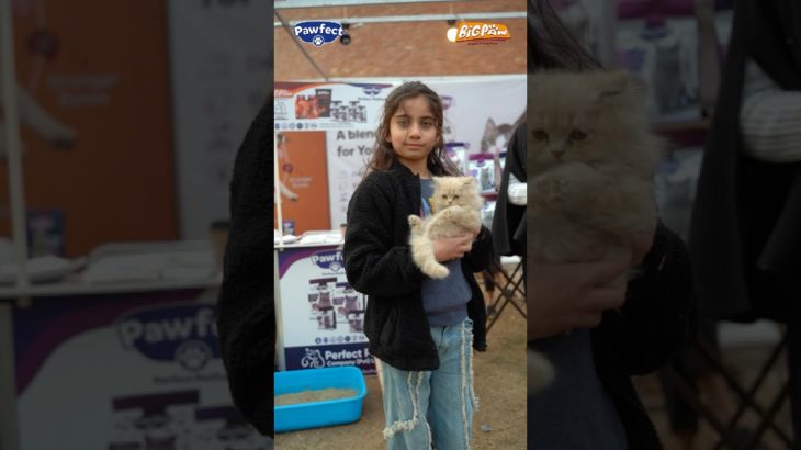 Exploring Lahore Pet Fair with Pawfect Cat Food & Big Paw Dog Food! #pawfect