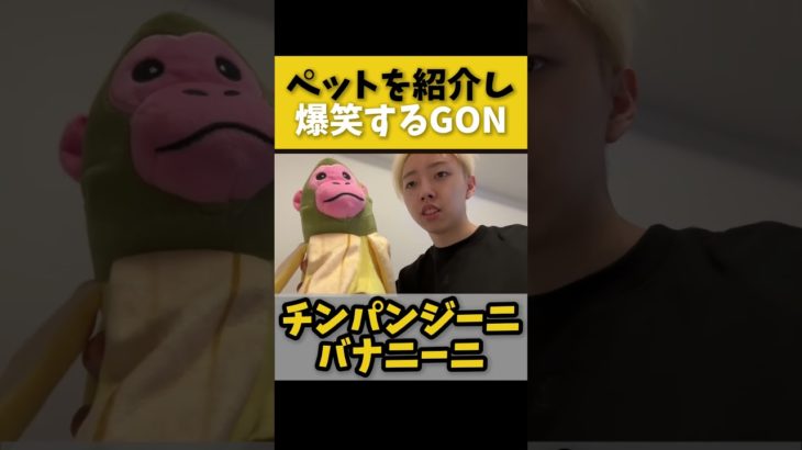 意外すぎるペットを紹介し、爆笑するGON #gon切り抜き #gon #ブレインロット #brainrot #ペット