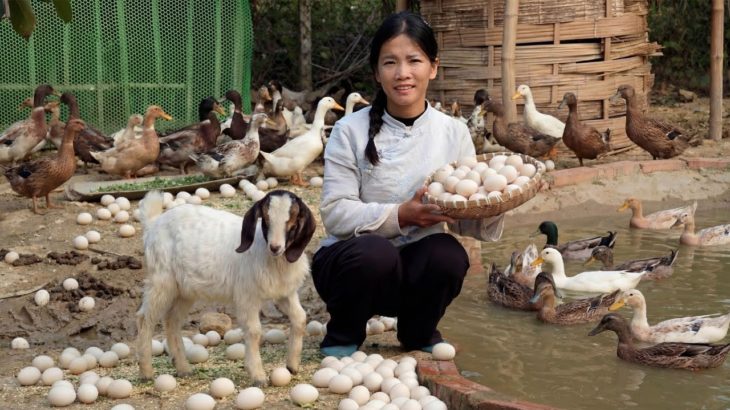 Hân was moved to tears by the unexpected gift from her pet
