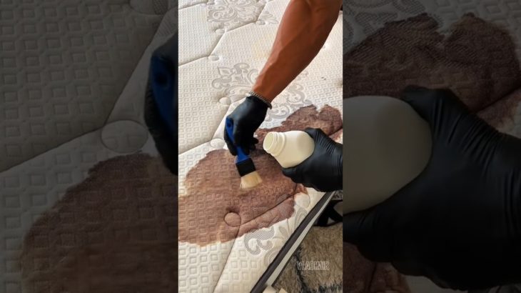 How To Use Bissell Proheat 2x Revolution Pet Pro Carpet Cleaner