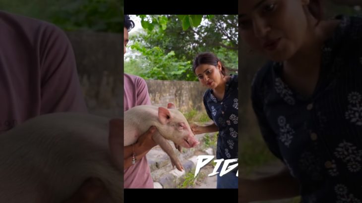 Is Uber REALLY Pet Friendly? 🐍 Testing Uber with Weird Animals! 😂 #Shorts