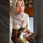 Kucing Santai di Sudut Rumah #shortsvideo #kucing #pet