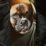 More Pet Arguments #shorts