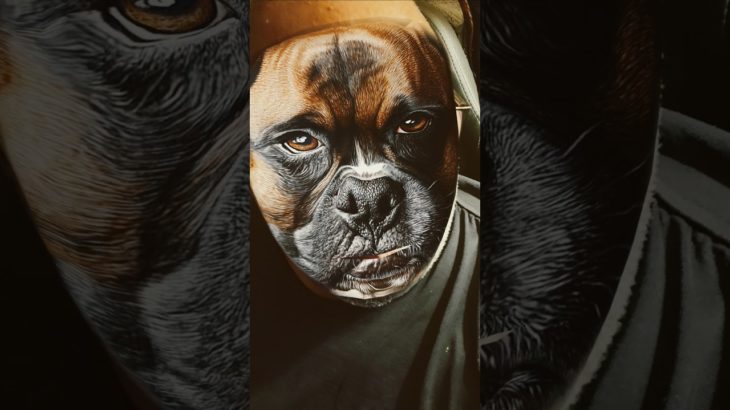 More Pet Arguments #shorts