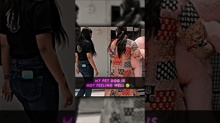 My Pet Dog is not Feeling Well 😩🐾 #class10 #cbseboard #physicswallah #alakhsir #samridhimam