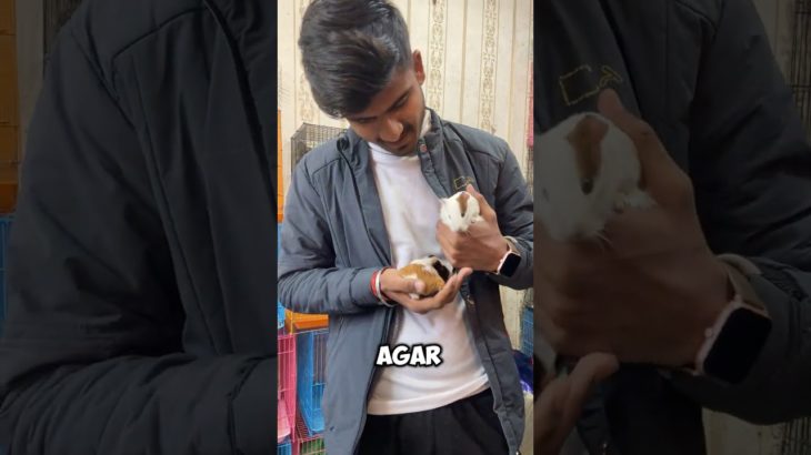 My first Pet 🐹|#shorts #souravjoshivlogs #minivlog