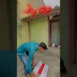 New Members In My Loft😊🐓||#trending #pigeonvlogs #shorts #pet