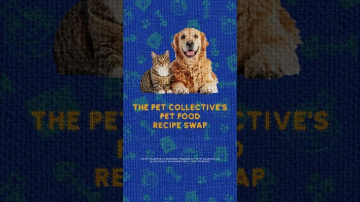 ✨ Pet Food Recipe Swap Incoming ✨ Let’s all share our fav recipes for our furry friends this month!🌭