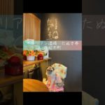 横浜　桜木町のペット同伴可　イタリアン酒場　Pet Friendly Italian restaurant and bar in Yokohama, Sakuragicho