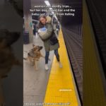 Pet dog’s signal saved woman just in time from falling off…🐶