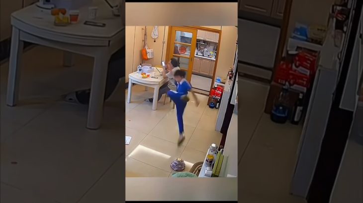 Pet fun time #funny #cat #shortsfeed